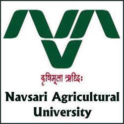 Navsari agriculture university.jpg